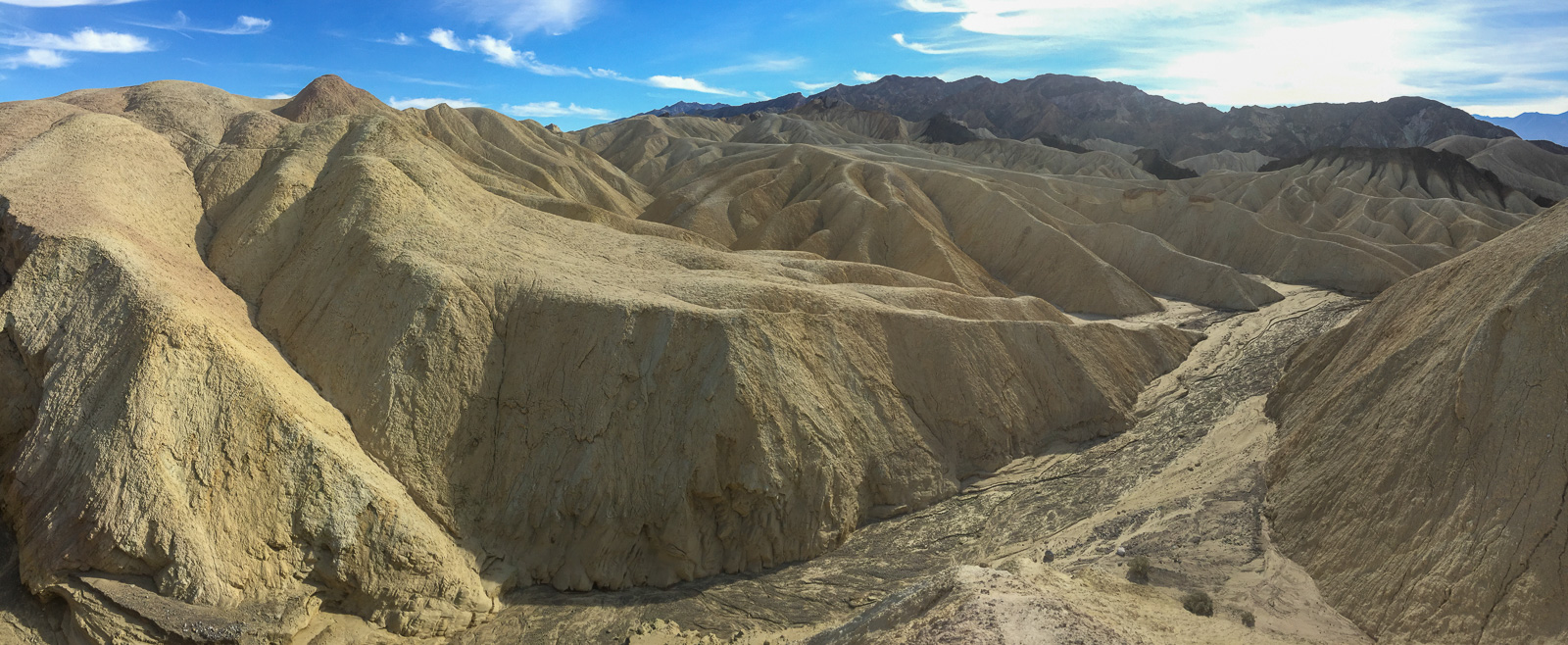 22 083 iPhone6 Steph IMG 4773