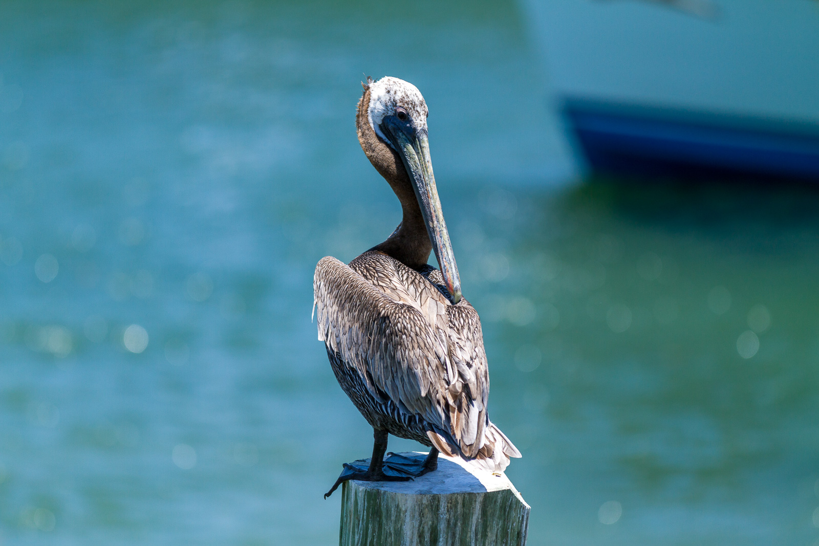 05 01 Les Keys 107 IMG 5800